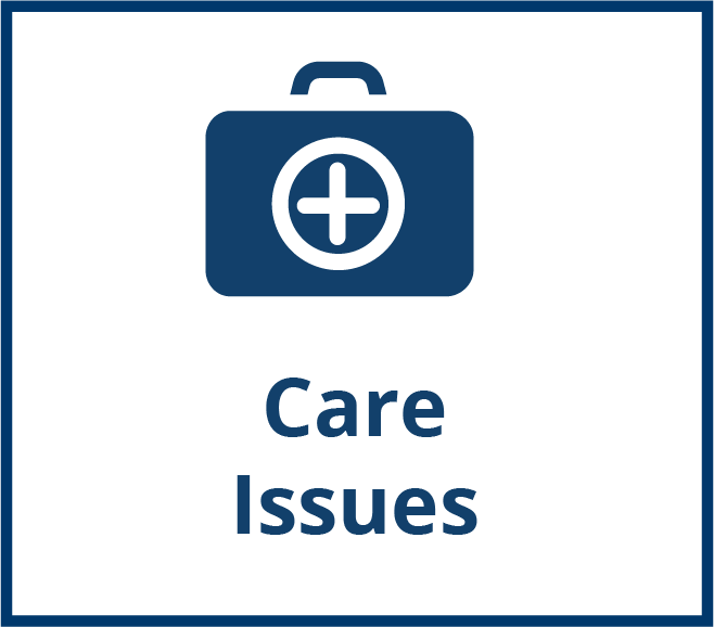Care Issues - Understanding and meeting palliative care needs